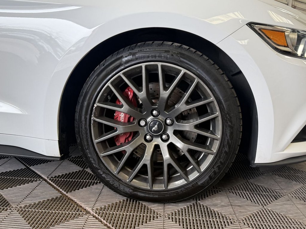 Used Ford Mustang 2016 for sale - 77806510: Photo 18