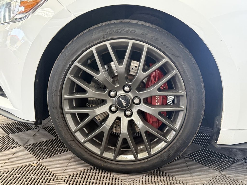 Used Ford Mustang 2016 for sale - 77806510: Photo 21