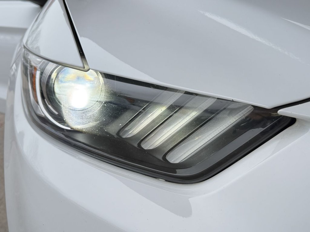 Used Ford Mustang 2016 for sale - 77806510: Photo 22