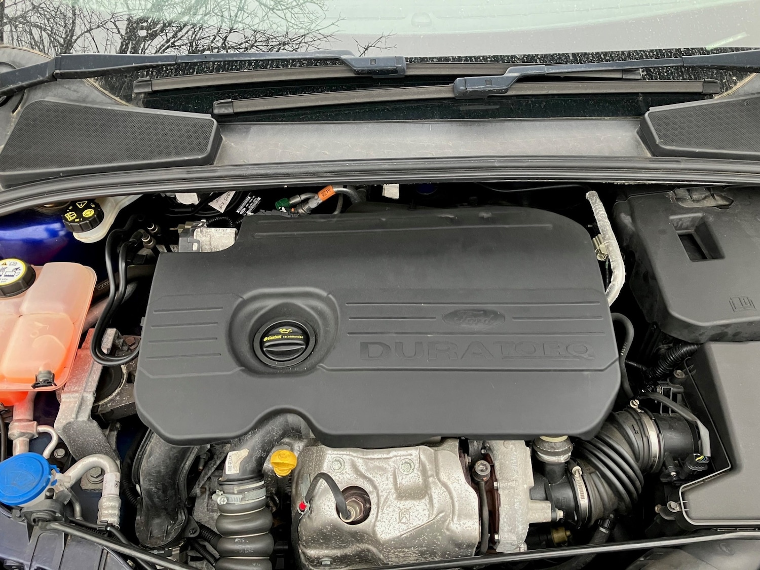 Used Ford Focus 2017 for sale - 77758695: Photo 29