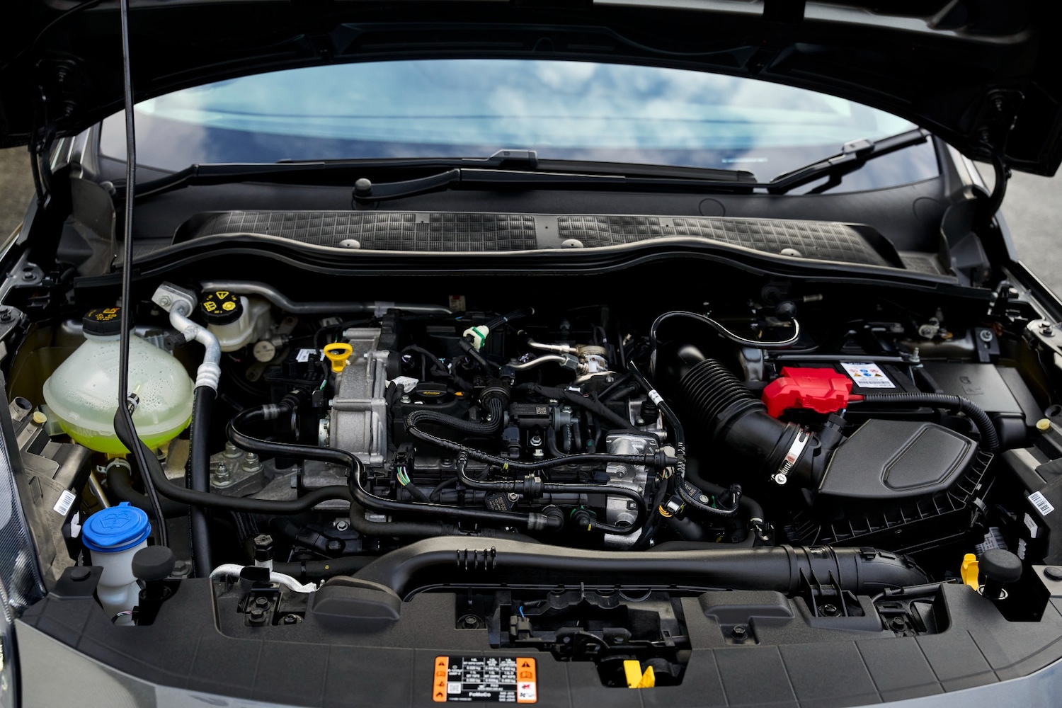 Used Ford Fiesta 2024 for sale - 76945406: Photo 31