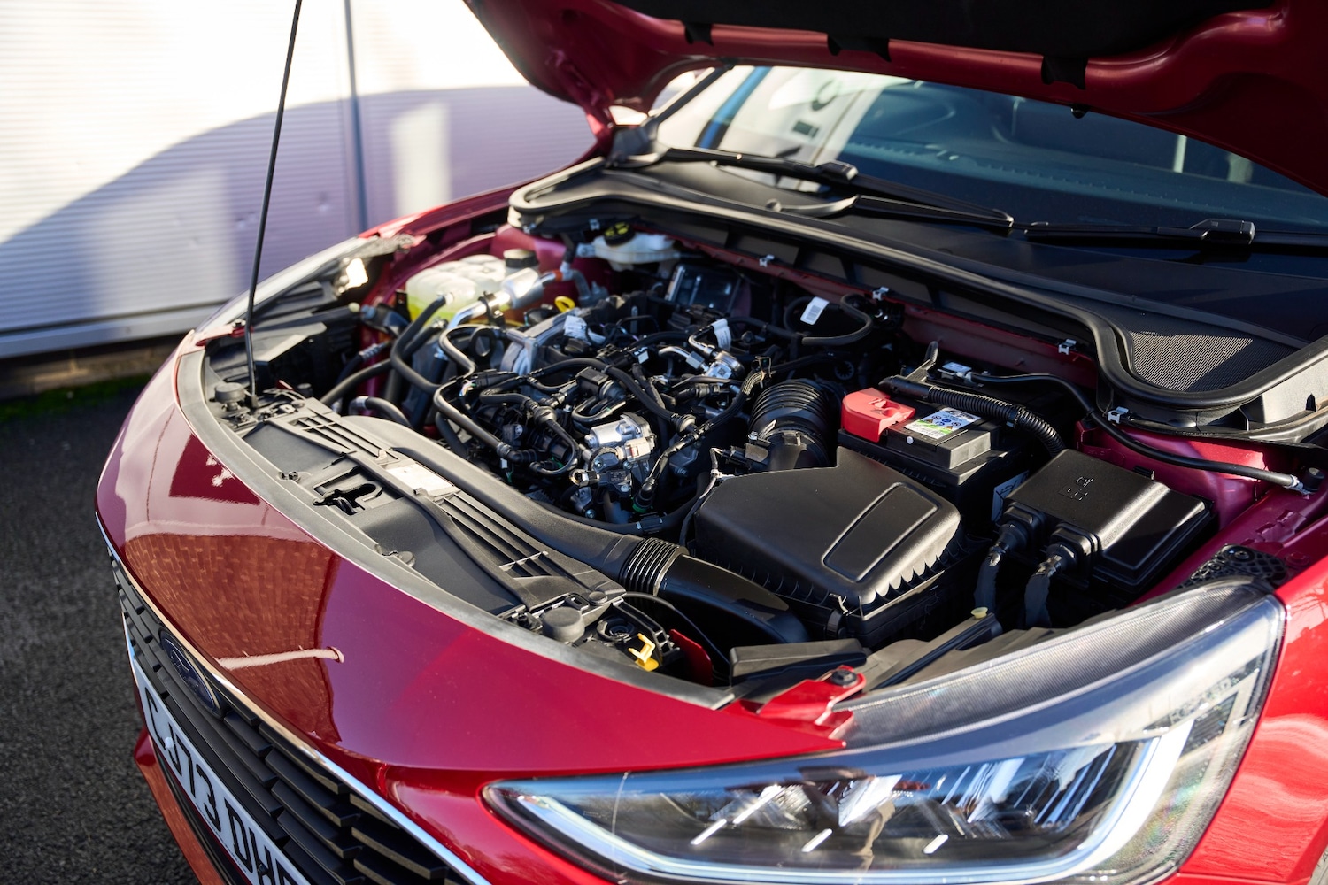 Used Ford Focus 2023 for sale - 76946331: Photo 17