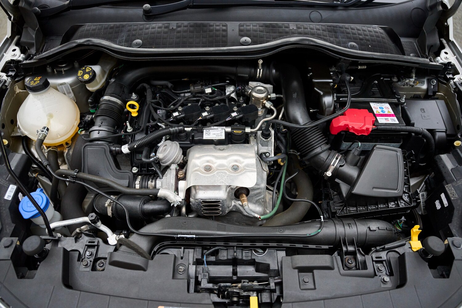 Used Ford Fiesta 2022 for sale - 77803900: Photo 19