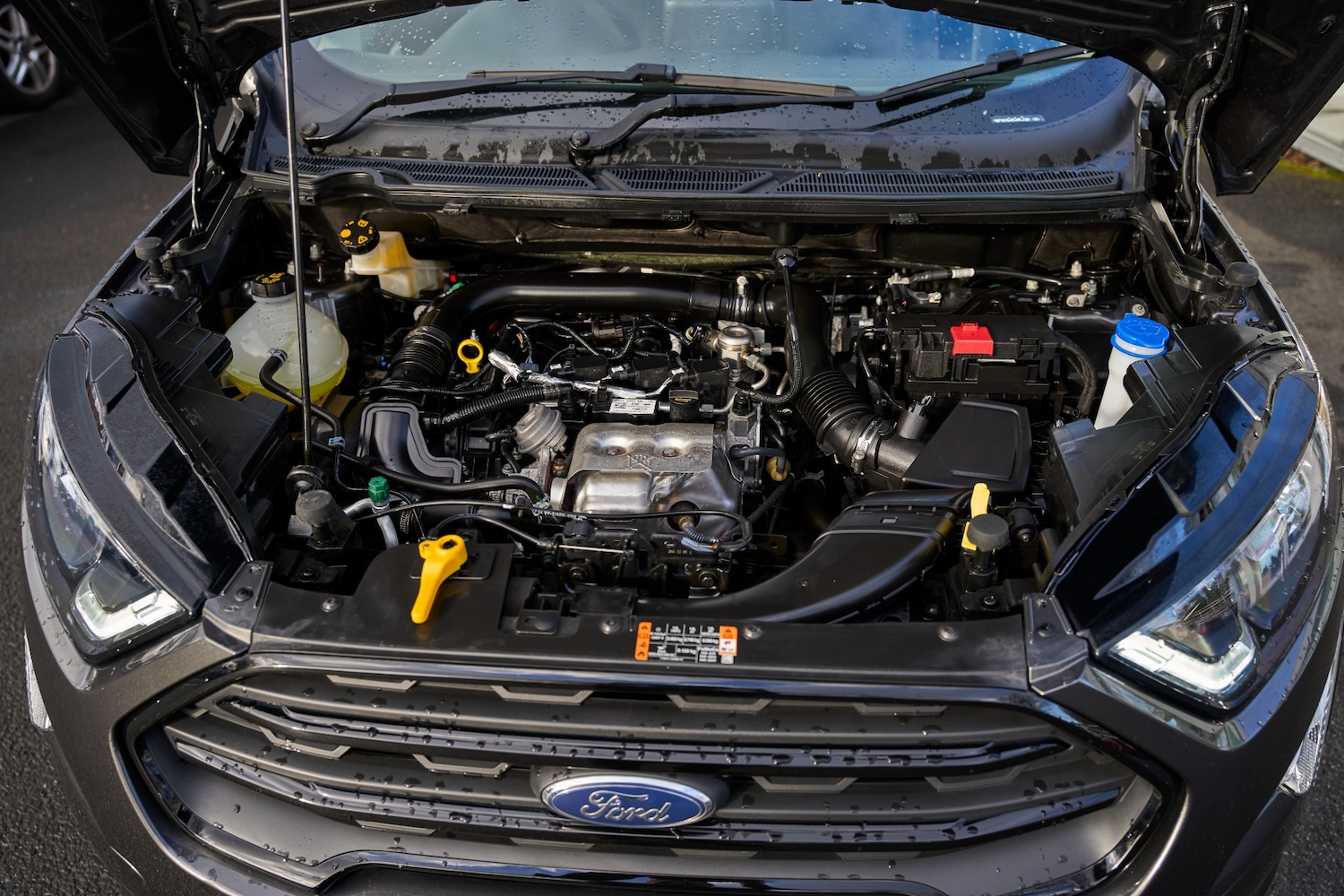 Used Ford Ecosport 2023 for sale - 77998699: Photo 16