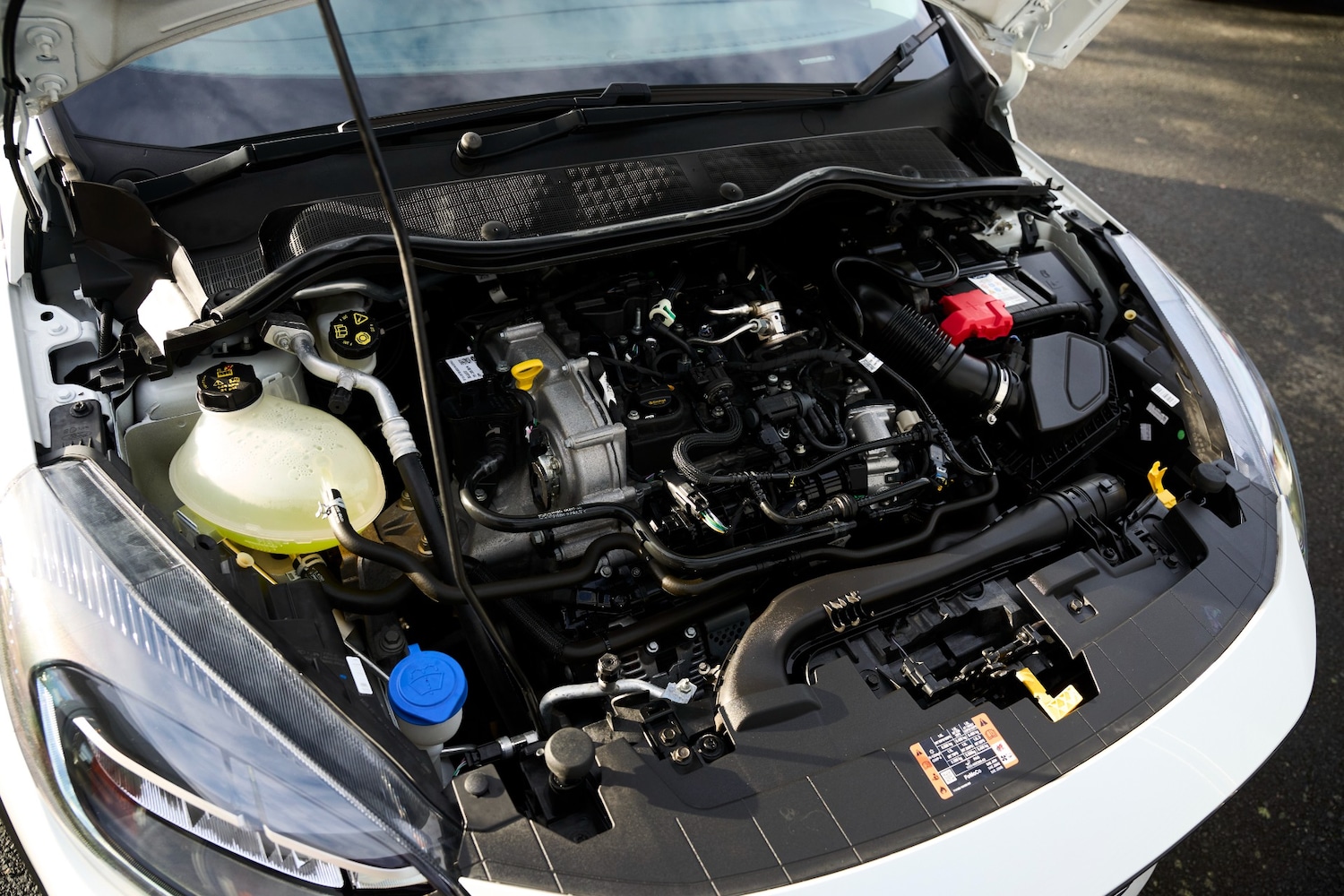 Used Ford Fiesta 2022 for sale - 77282499: Photo 19