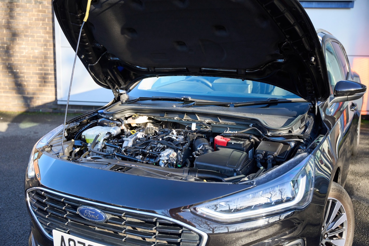 Used Ford Focus 2023 for sale - 76946749: Photo 24