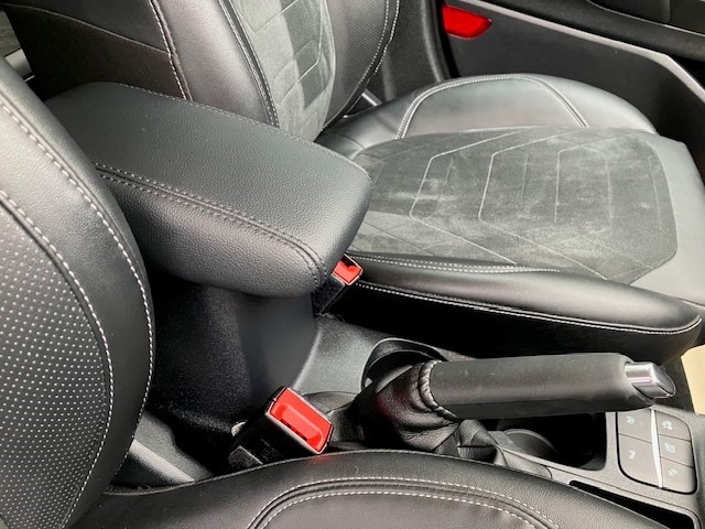 Used Ford Fiesta 2022 for sale - 77618329: Photo 22