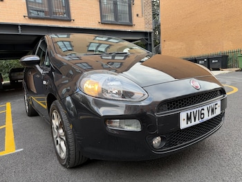 Used Fiat Punto 2016 for sale - 78400609: Photo
