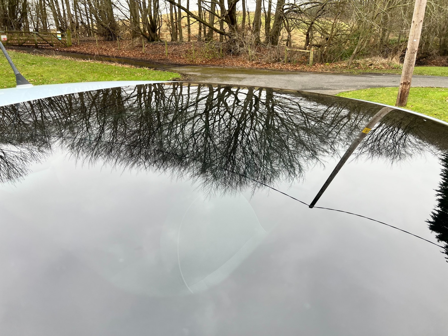 Used Fiat 500 2009 for sale - 77889981: Photo 15