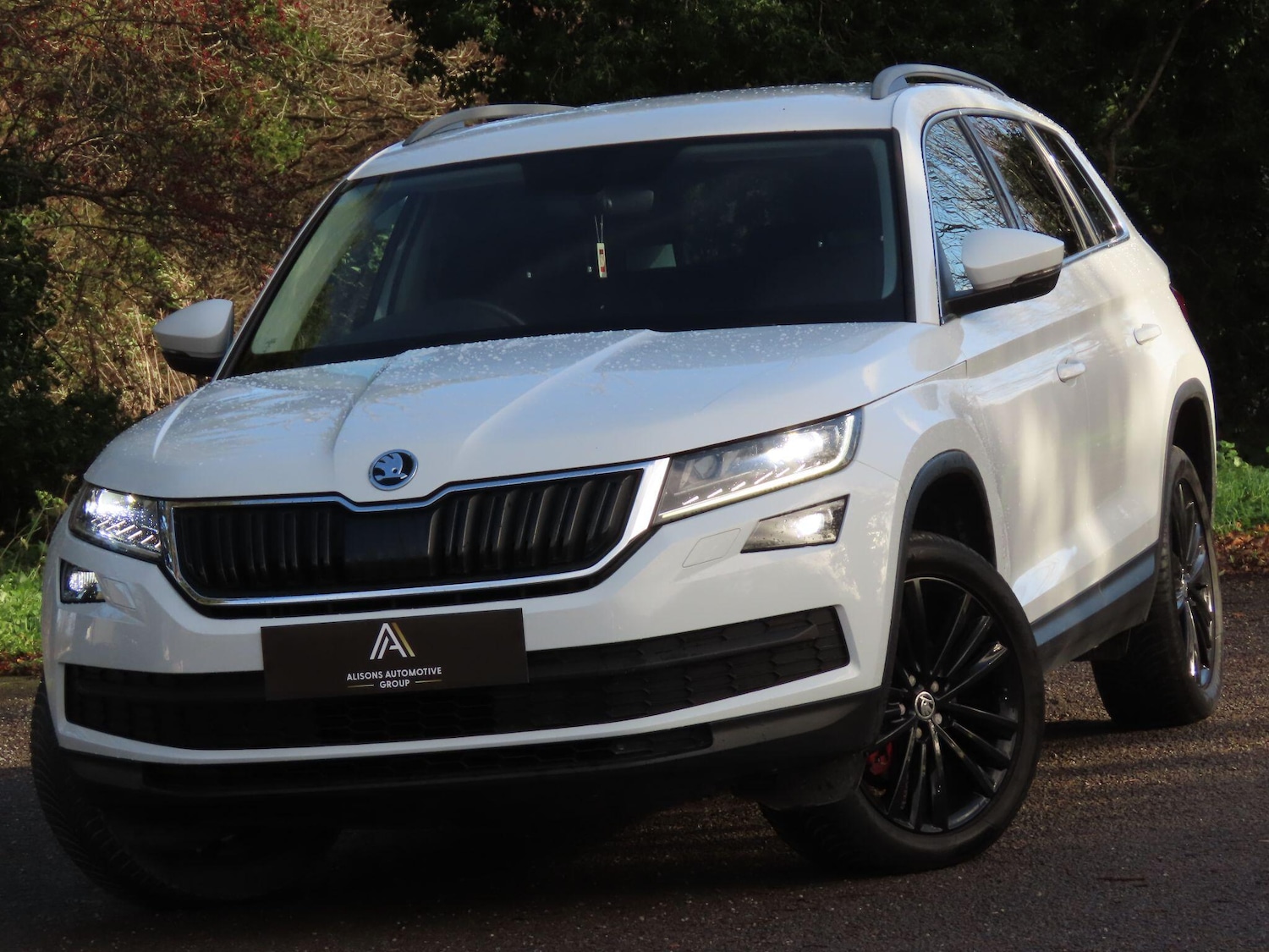 Used Skoda Kodiaq 2017 for sale - 76759283: Photo 1
