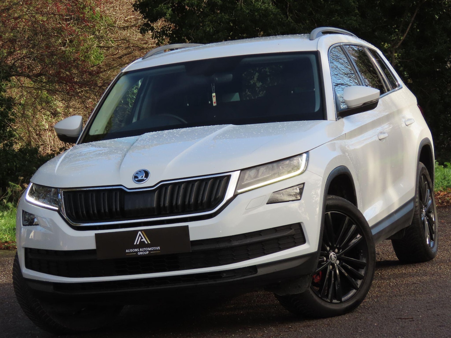 Used Skoda Kodiaq 2017 for sale - 76759283: Photo 2