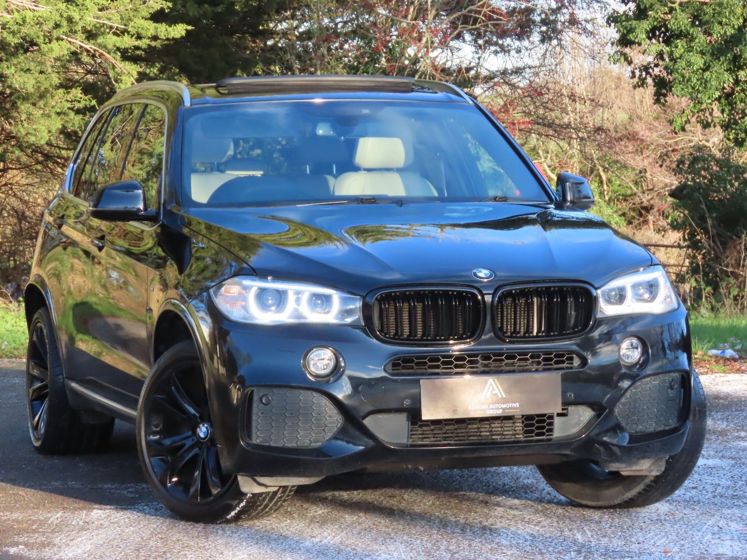 Used BMW X5 2013 for sale - 77108923: Photo 3