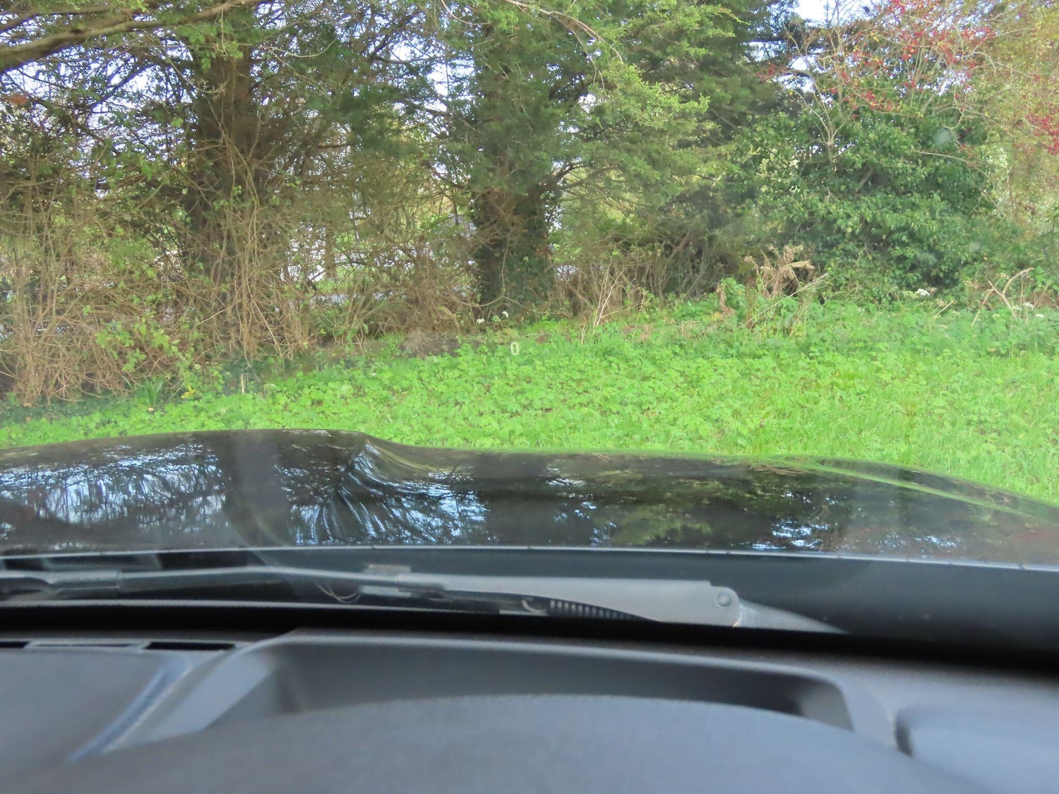 Used BMW M4 2016 for sale - 76441271: Photo 21