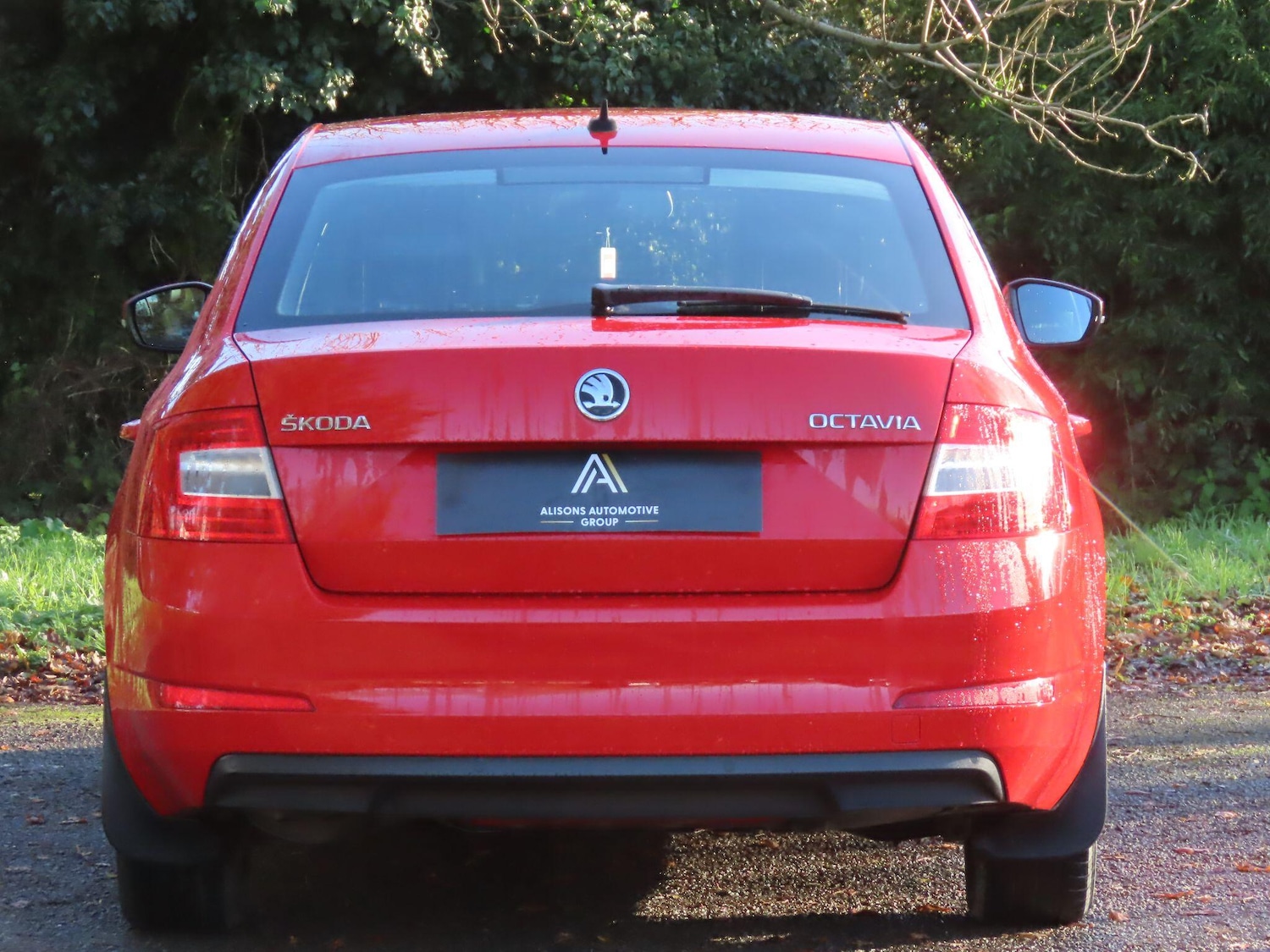 Used Skoda Octavia 2016 for sale - 76786862: Photo 5