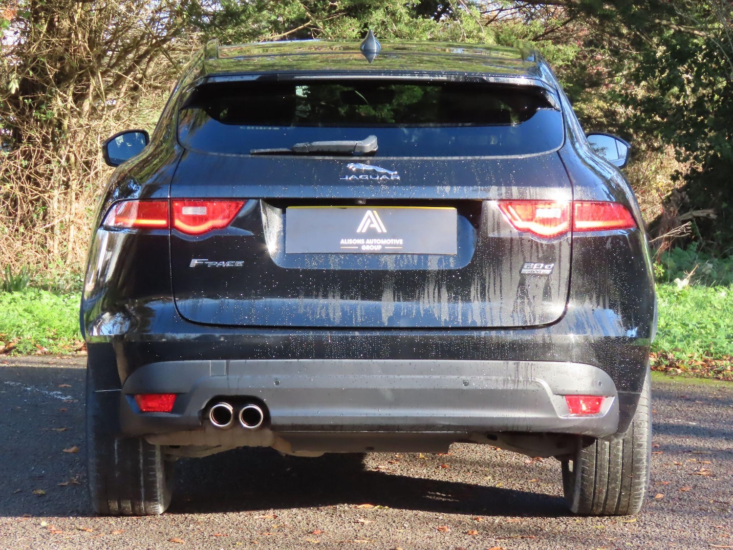 Used Jaguar F-Pace 2019 for sale - 76786863: Photo 6