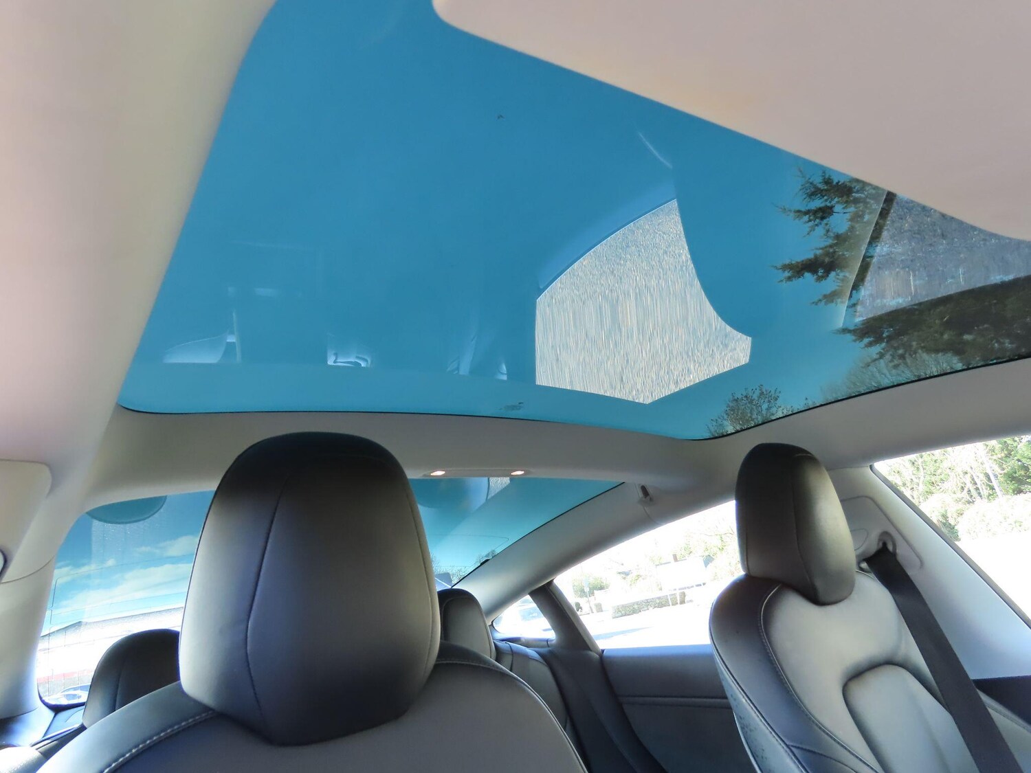 Used Tesla Model 3 2019 for sale - 77440760: Photo 11