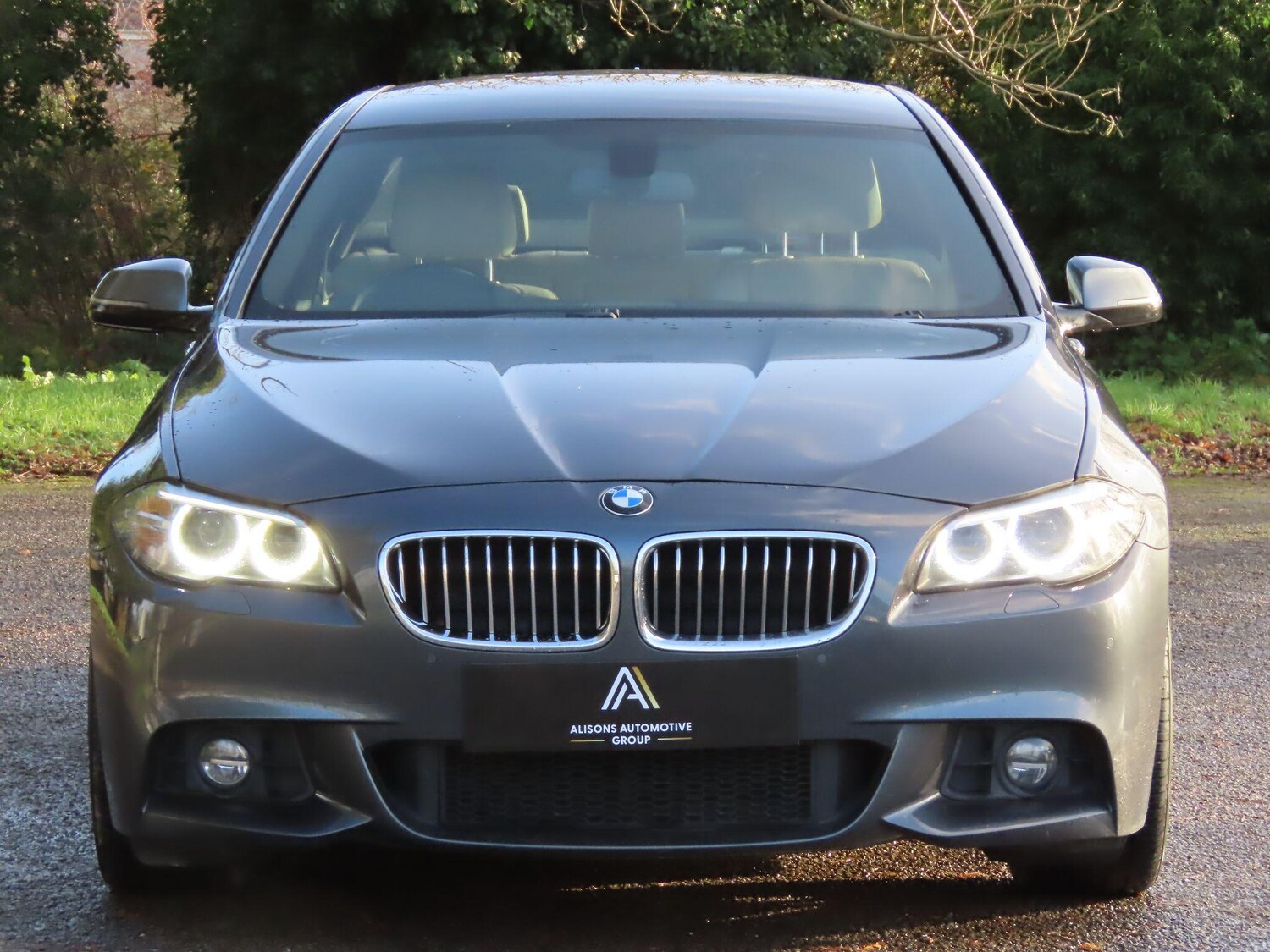 Used BMW 5 Series 2016 for sale - 76898679: Photo 3