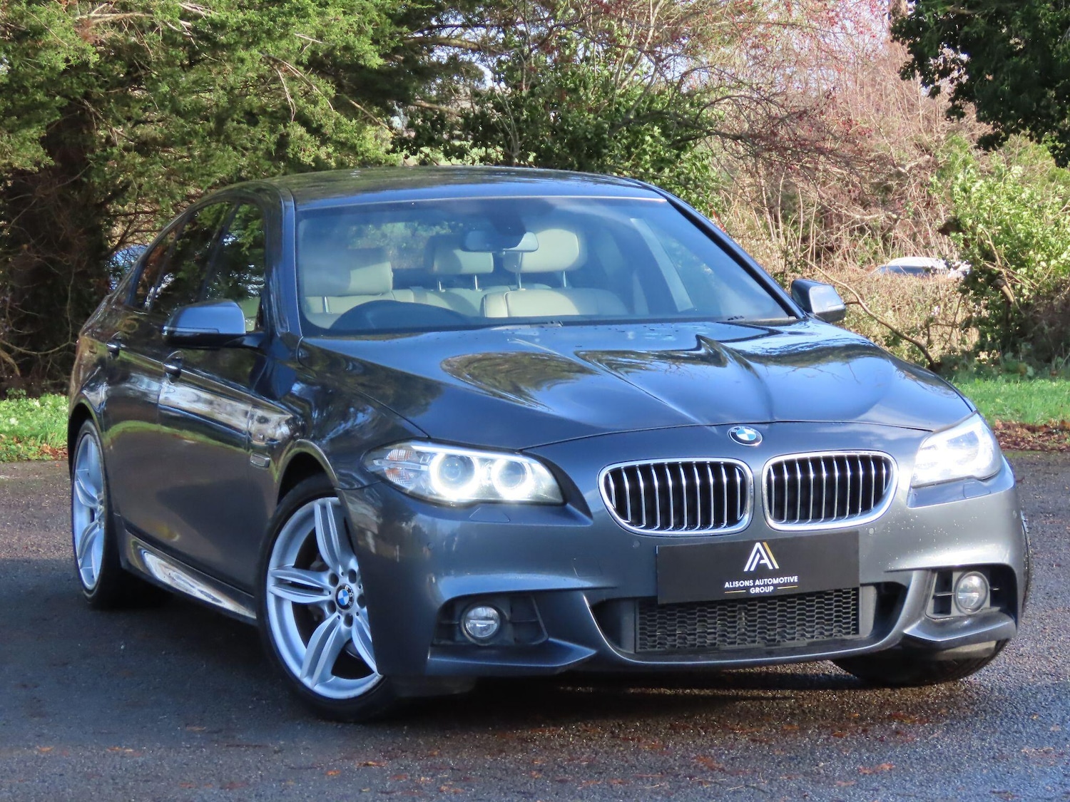 Used BMW 5 Series 2016 for sale - 76898679: Photo 4