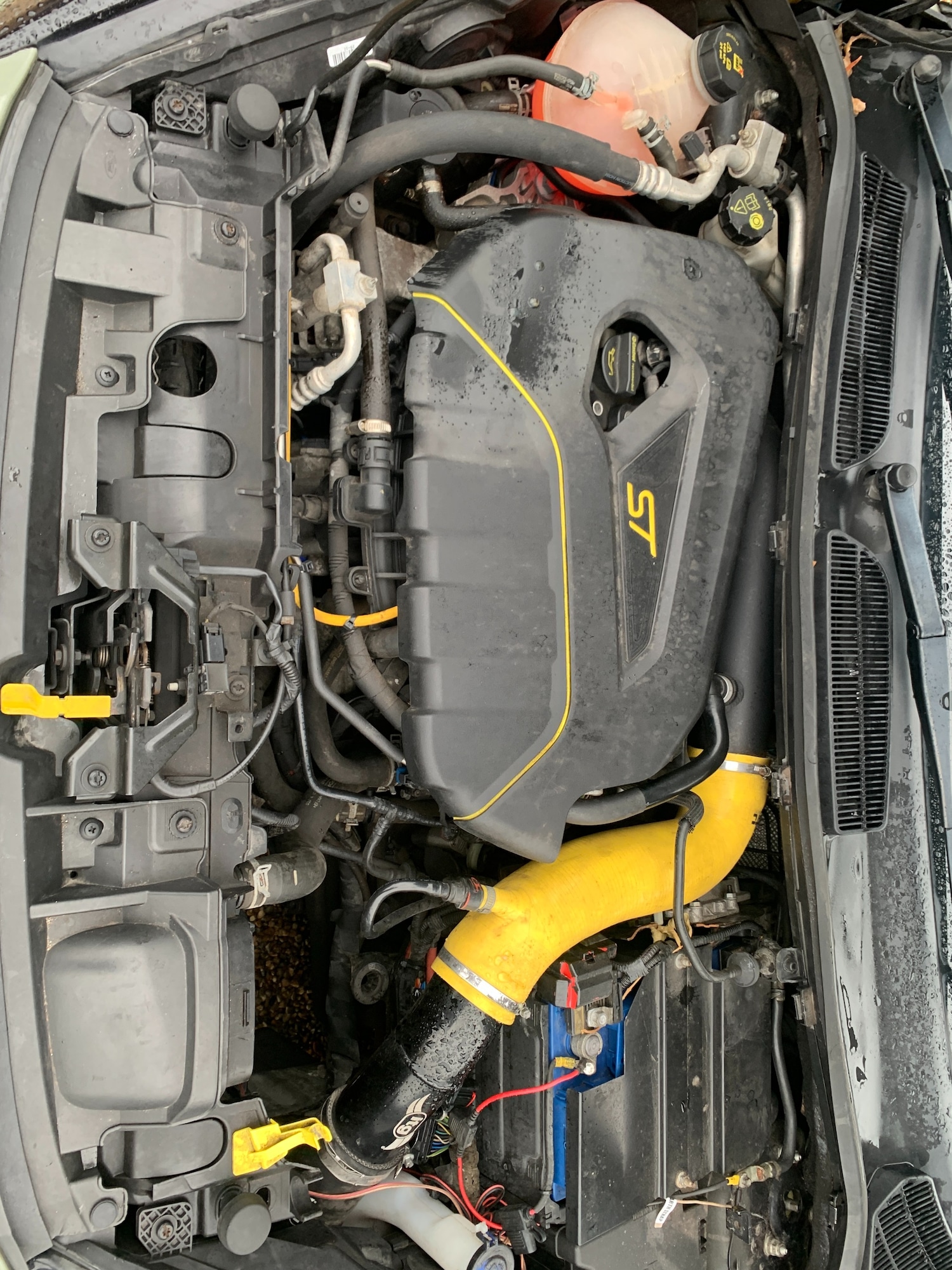 Used Ford Fiesta 2014 for sale - 77296901: Photo 34