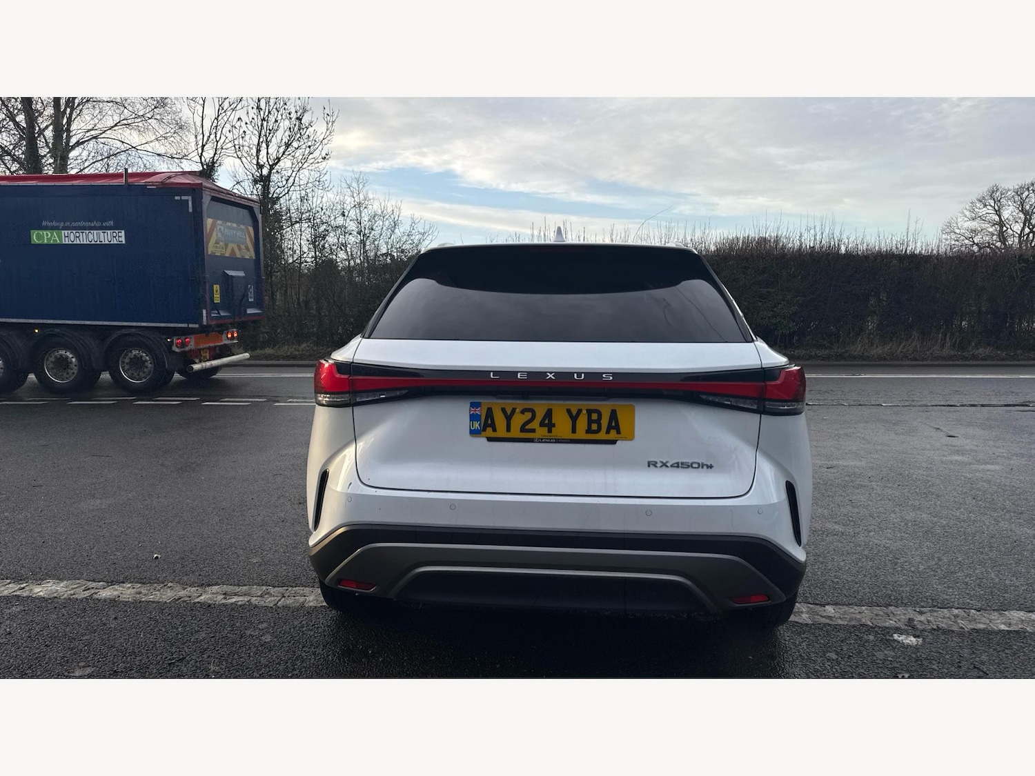 Used Lexus RX 2024 for sale - 77305940: Photo 21