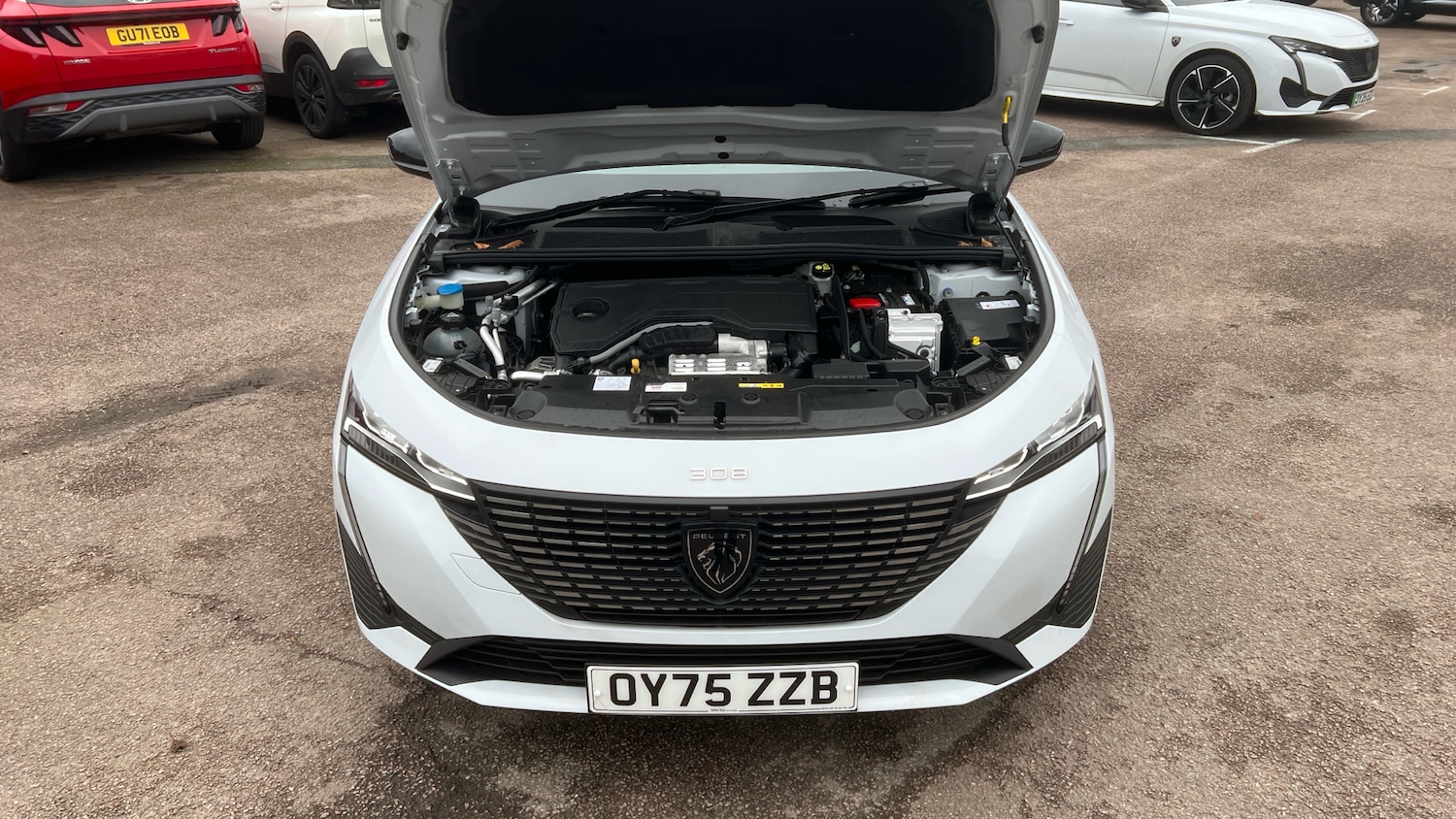 Used Peugeot 308 2025 for sale - 77915904: Photo 8