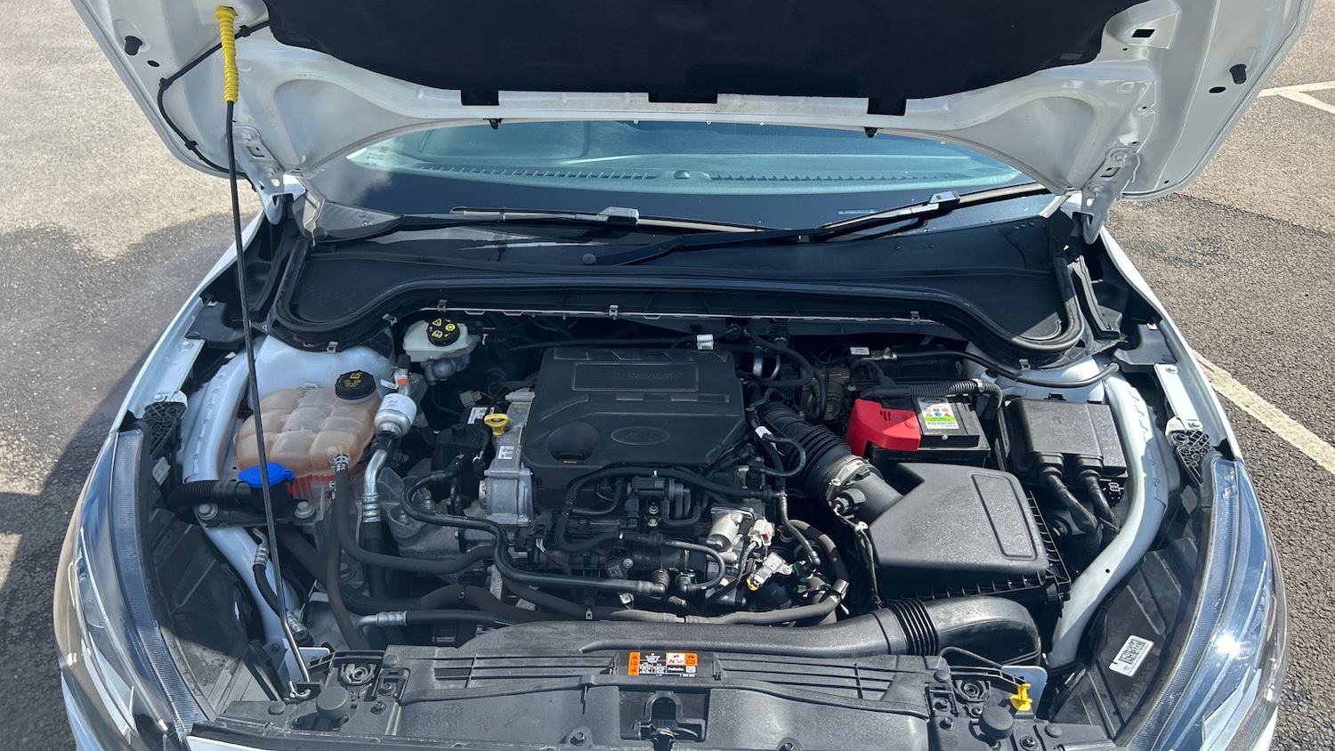 Used Ford Focus 2020 for sale - 76146435: Photo 8