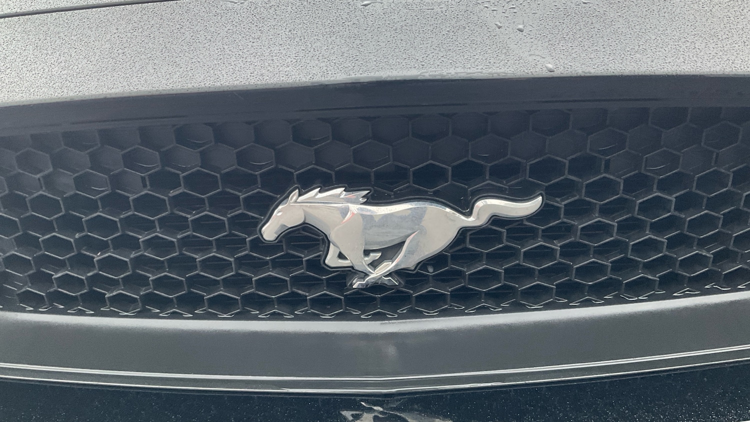 Used Ford Mustang 2016 for sale - 77379062: Photo 56