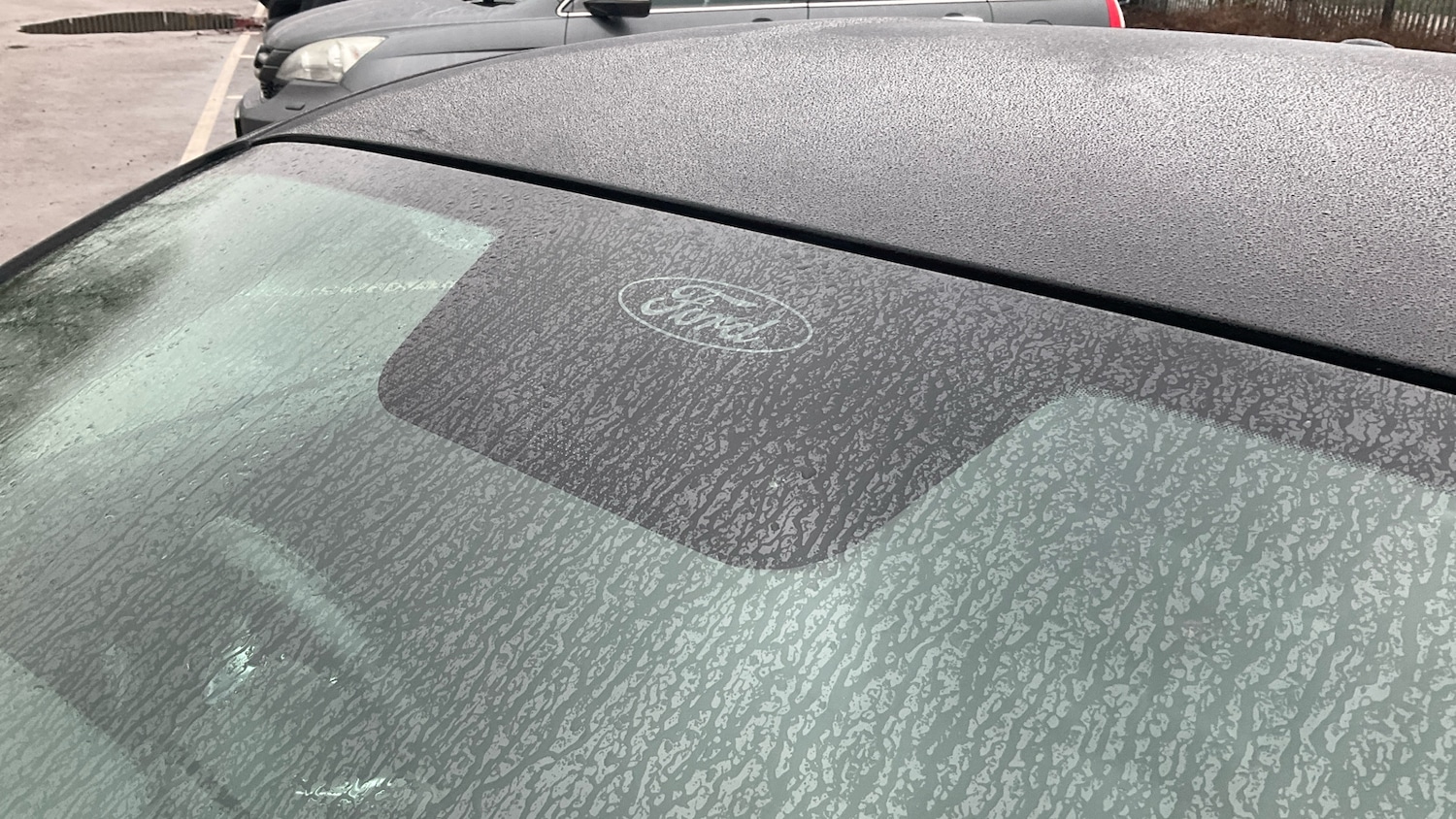 Used Ford Mustang 2016 for sale - 77379062: Photo 58