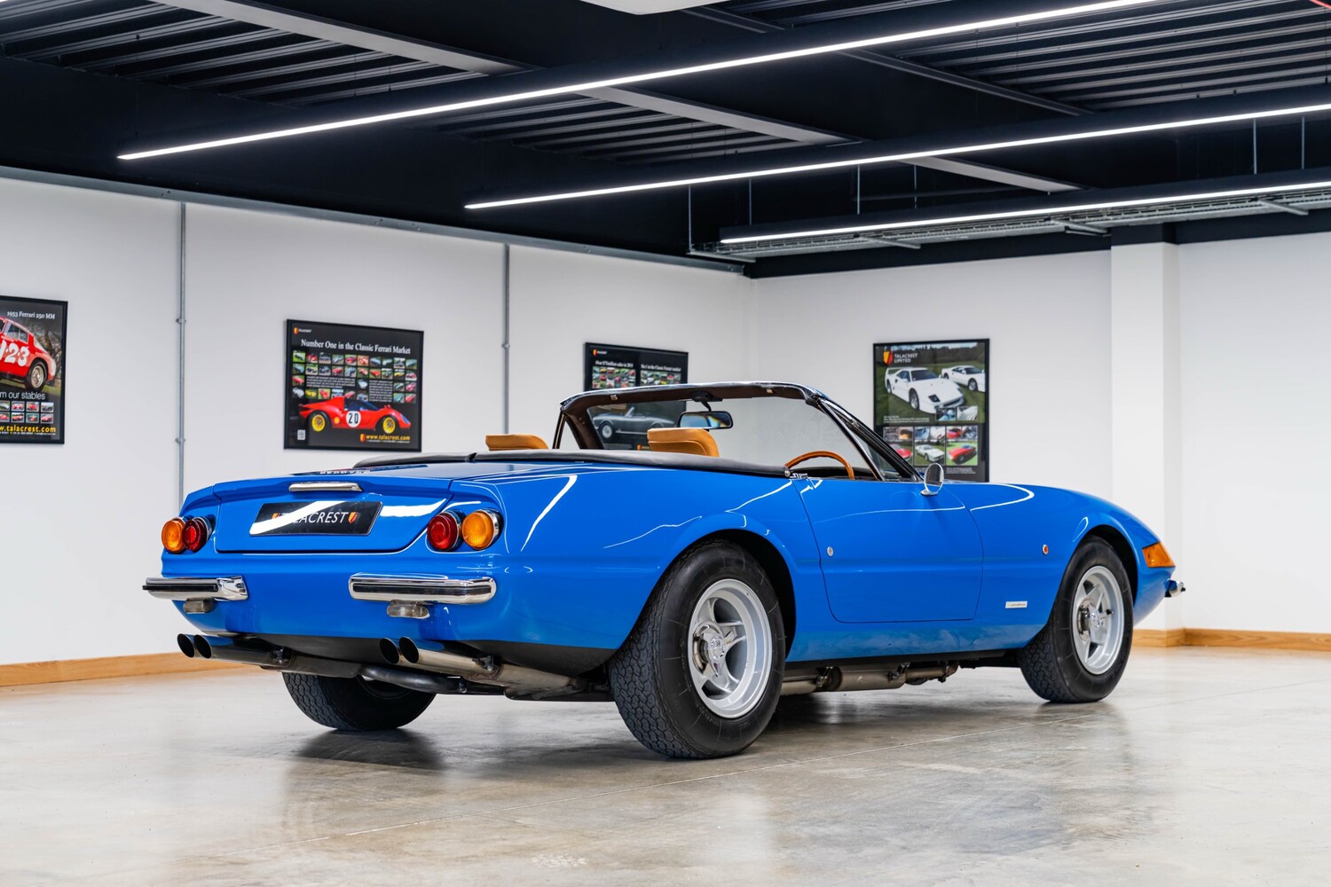 Used Ferrari 365 1939 for sale - 77932929: Photo 15