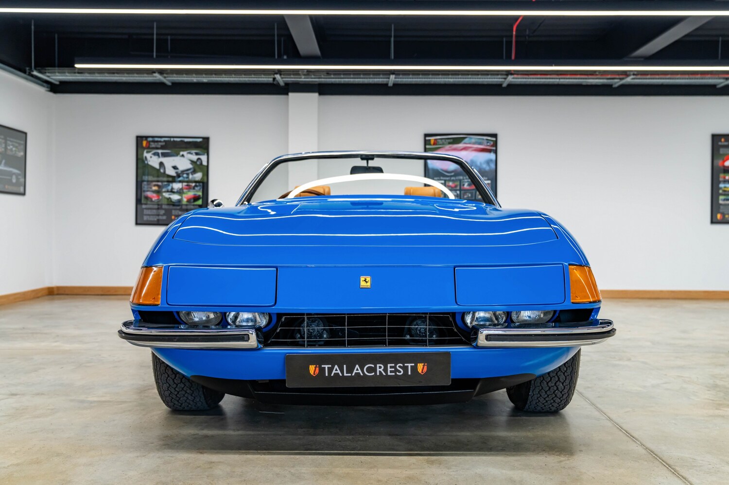 Used Ferrari 365 1939 for sale - 77932929: Photo 21