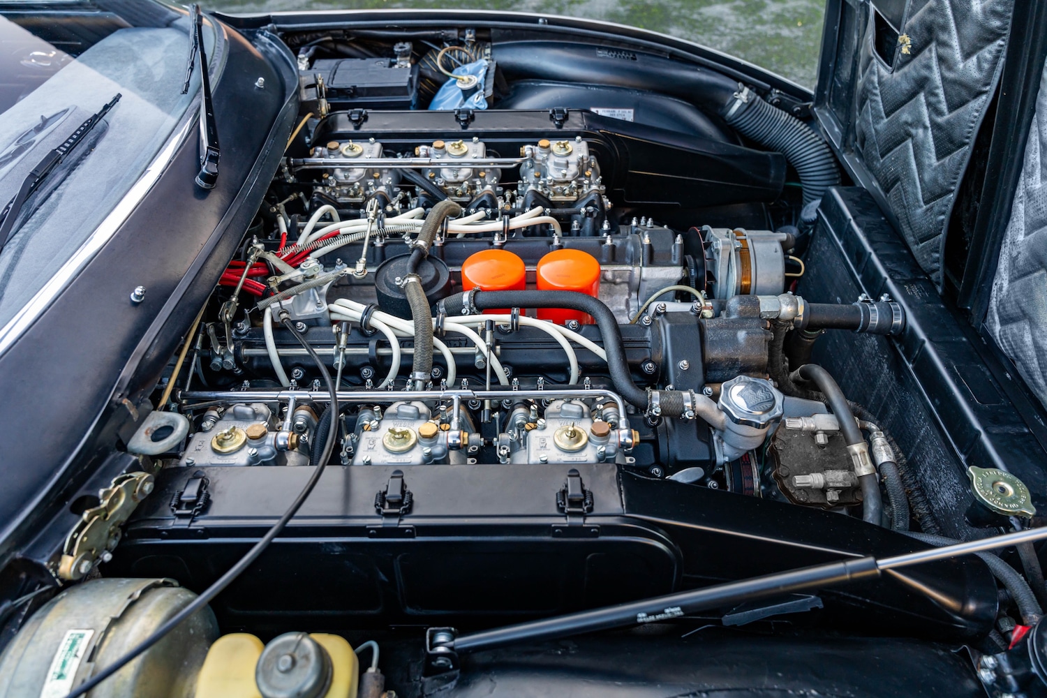 Used Ferrari 365 1932 for sale - 77932934: Photo 23