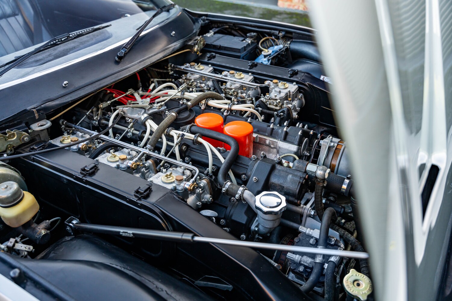 Used Ferrari 365 1932 for sale - 77932934: Photo 24