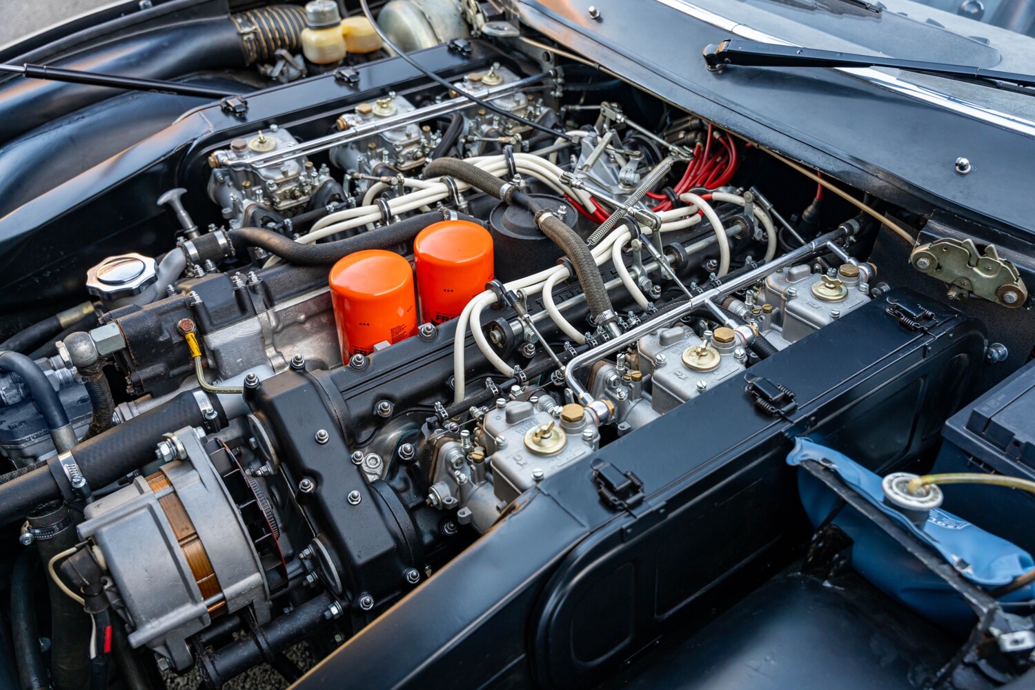 Used Ferrari 365 1932 for sale - 77932934: Photo 25