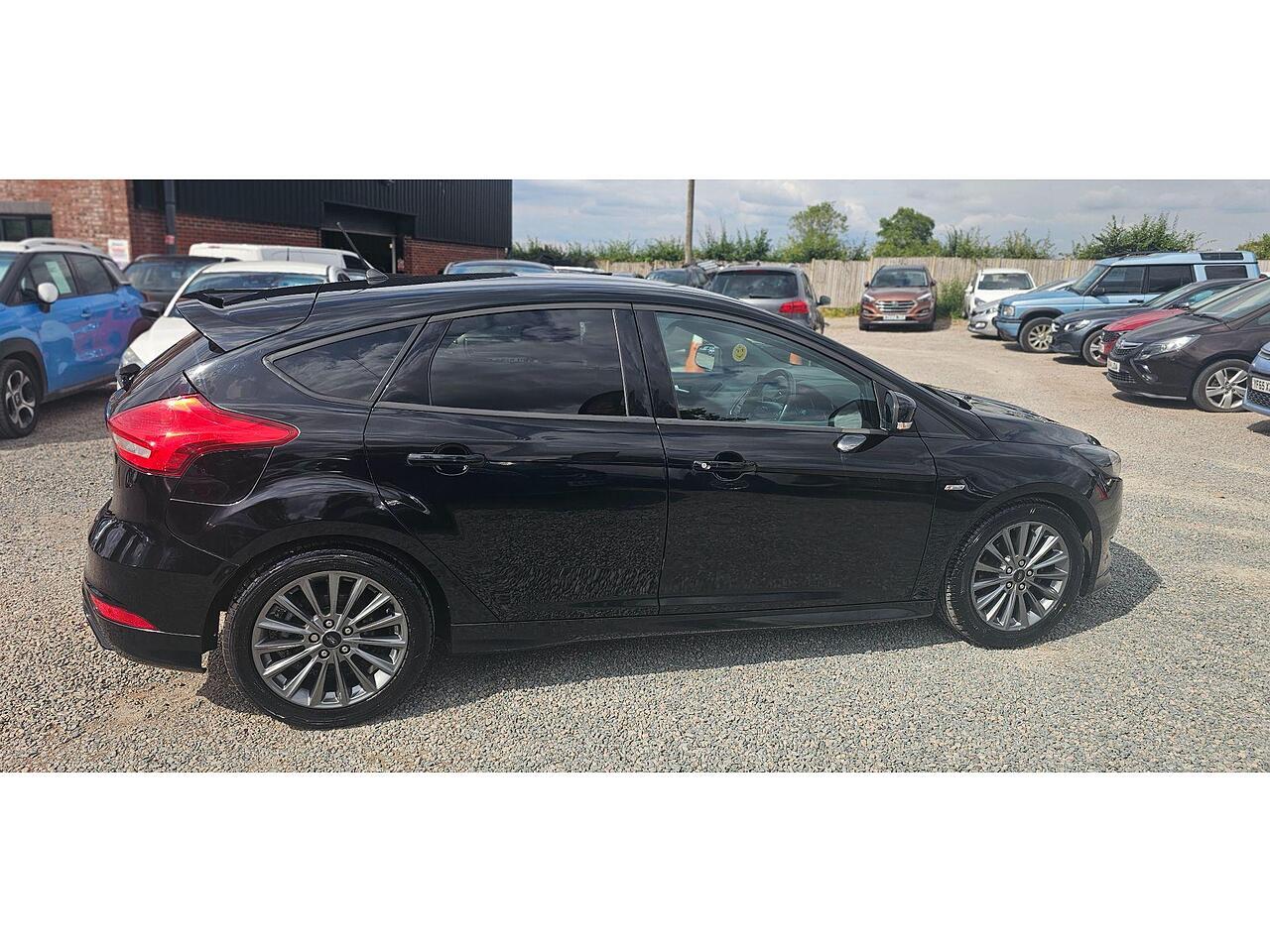 Used Ford Focus for sale - 77440511: Photo 8