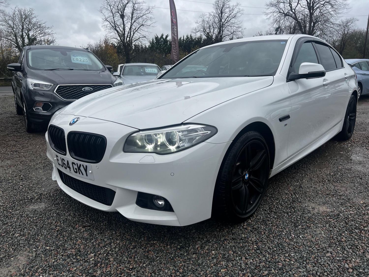 Used BMW 5 Series 2015 for sale - 76561753: Photo 3