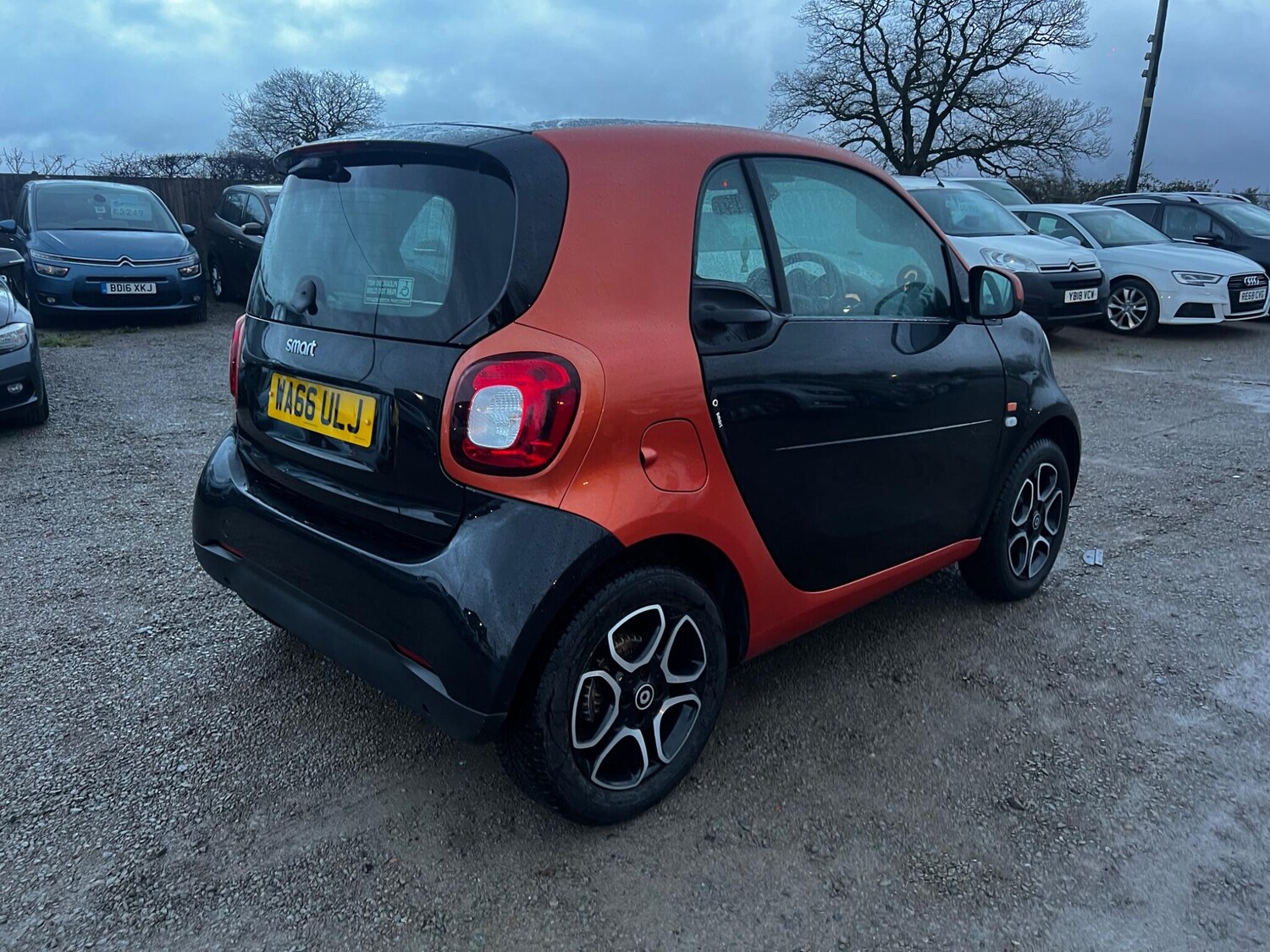 Used smart fortwo 2016 for sale - 77525161: Photo 7