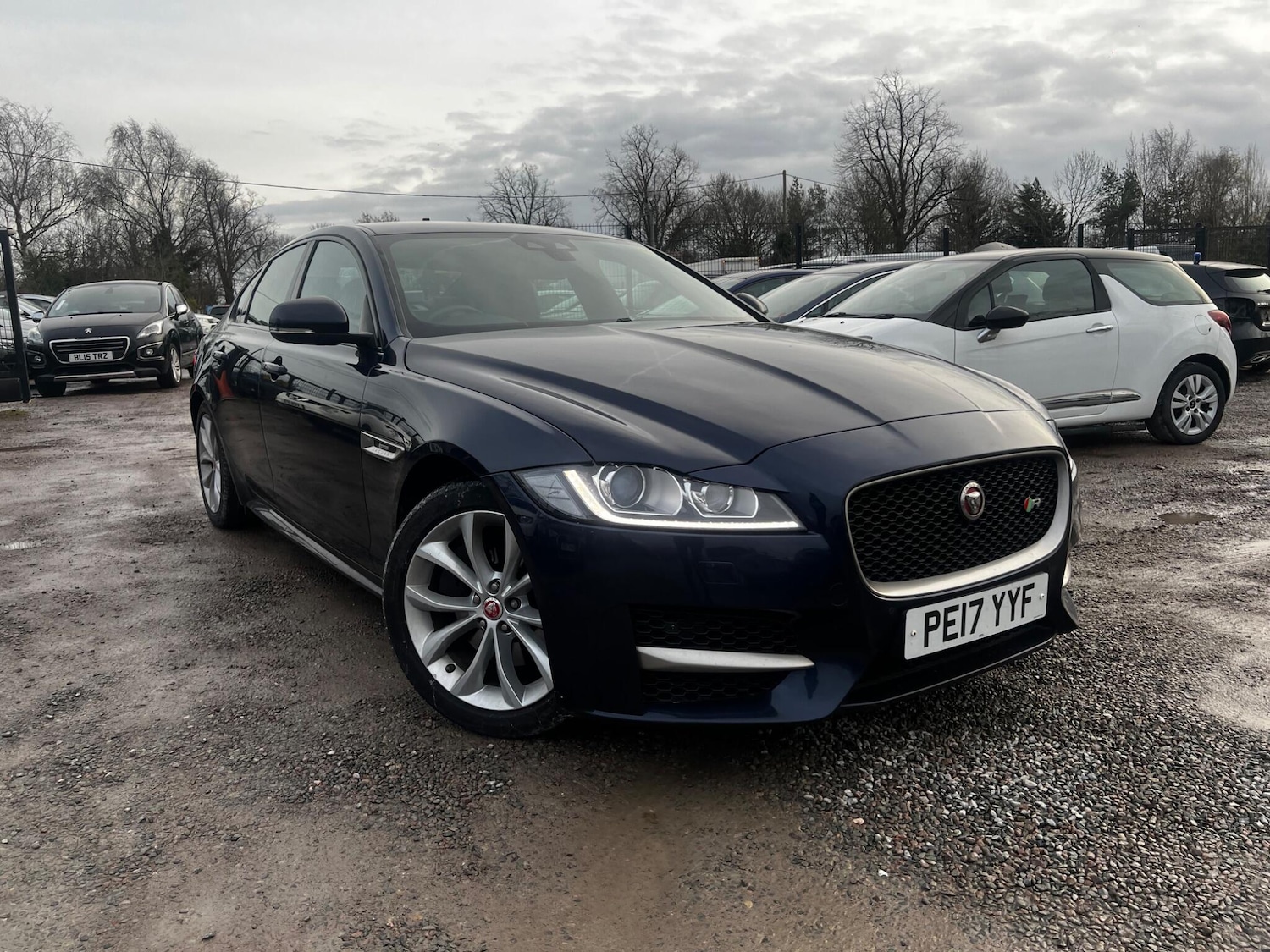 Used Jaguar XF 2017 for sale - 76898429: Photo 1