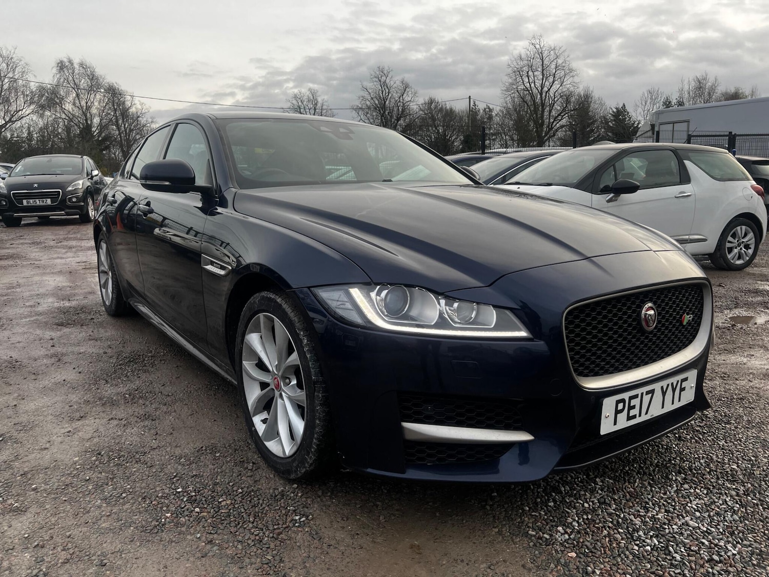 Used Jaguar XF 2017 for sale - 76898429: Photo 11