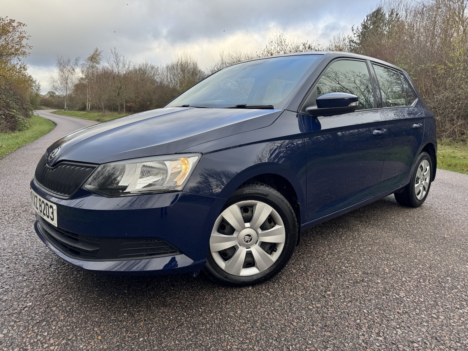 Used Skoda Fabia 2017 for sale - 76762168: Photo 32