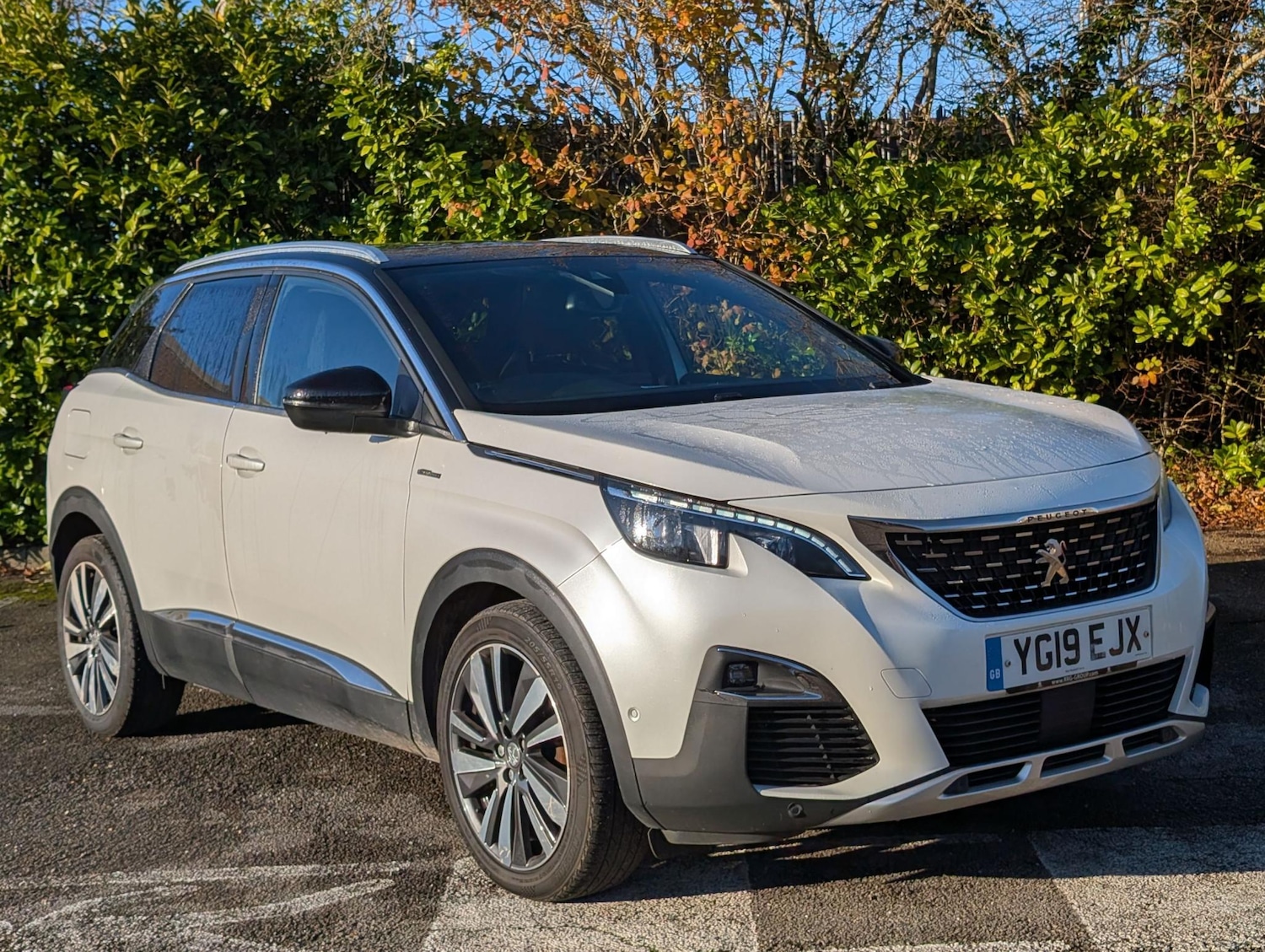 Used Peugeot 3008 2019 for sale - 76934123: Photo 1