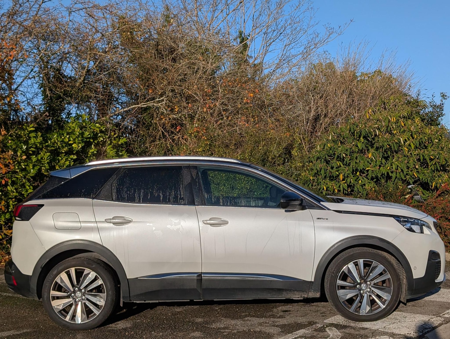 Used Peugeot 3008 2019 for sale - 76934123: Photo 2