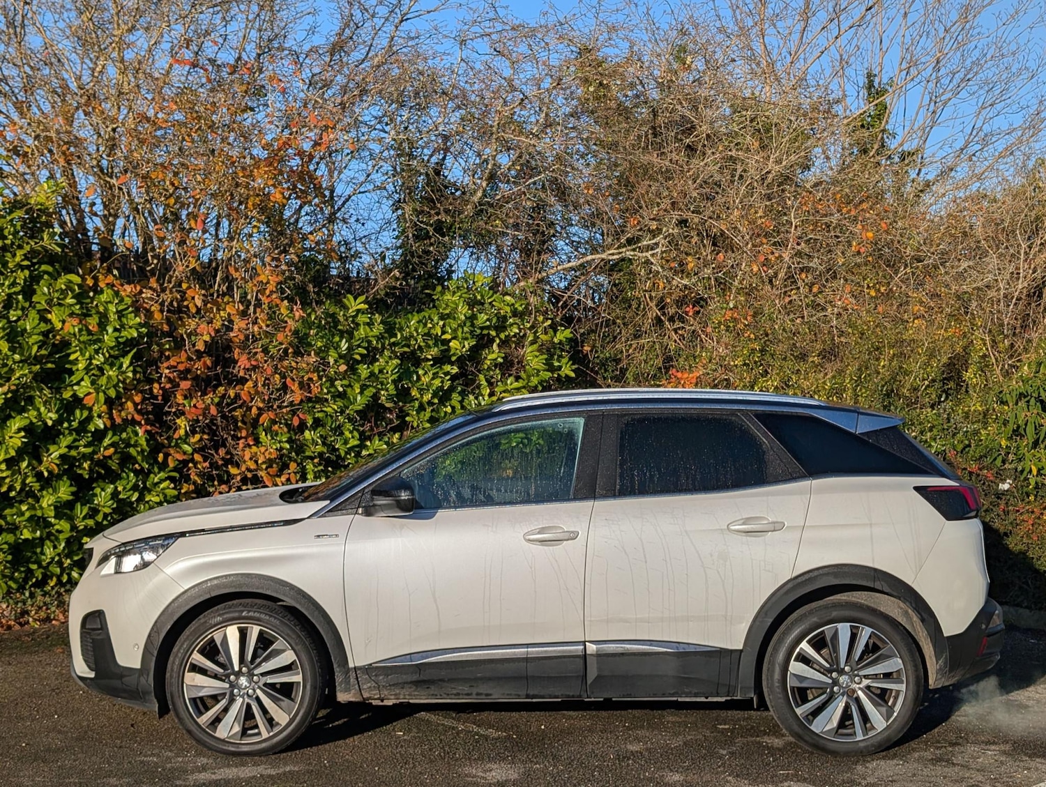 Used Peugeot 3008 2019 for sale - 76934123: Photo 6