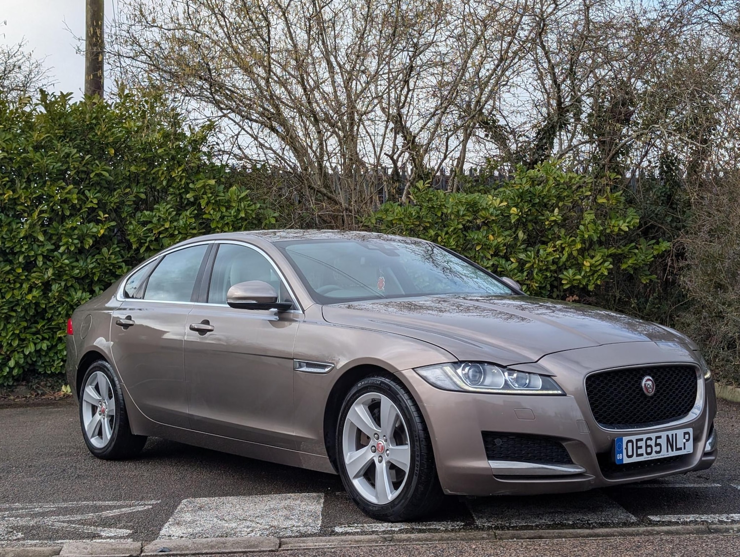 Used Jaguar XF 2015 for sale - 77394027: Photo 1
