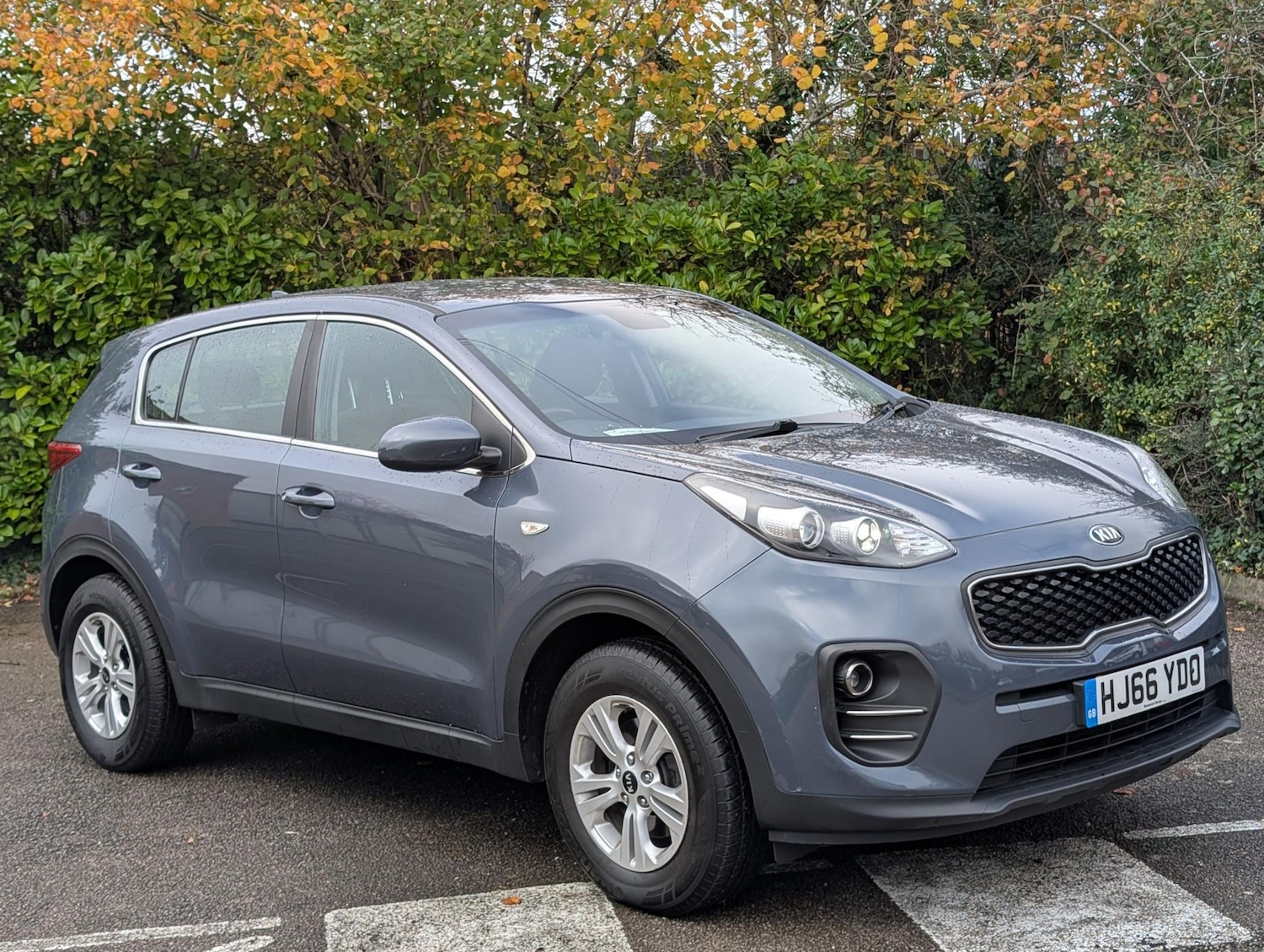 Used Kia Sportage 2016 for sale - 76519804: Photo 1