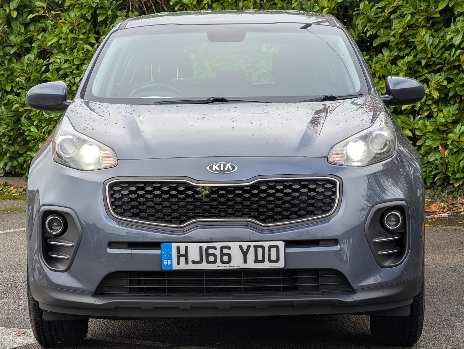 Used Kia Sportage 2016 for sale - 76519804: Photo 8