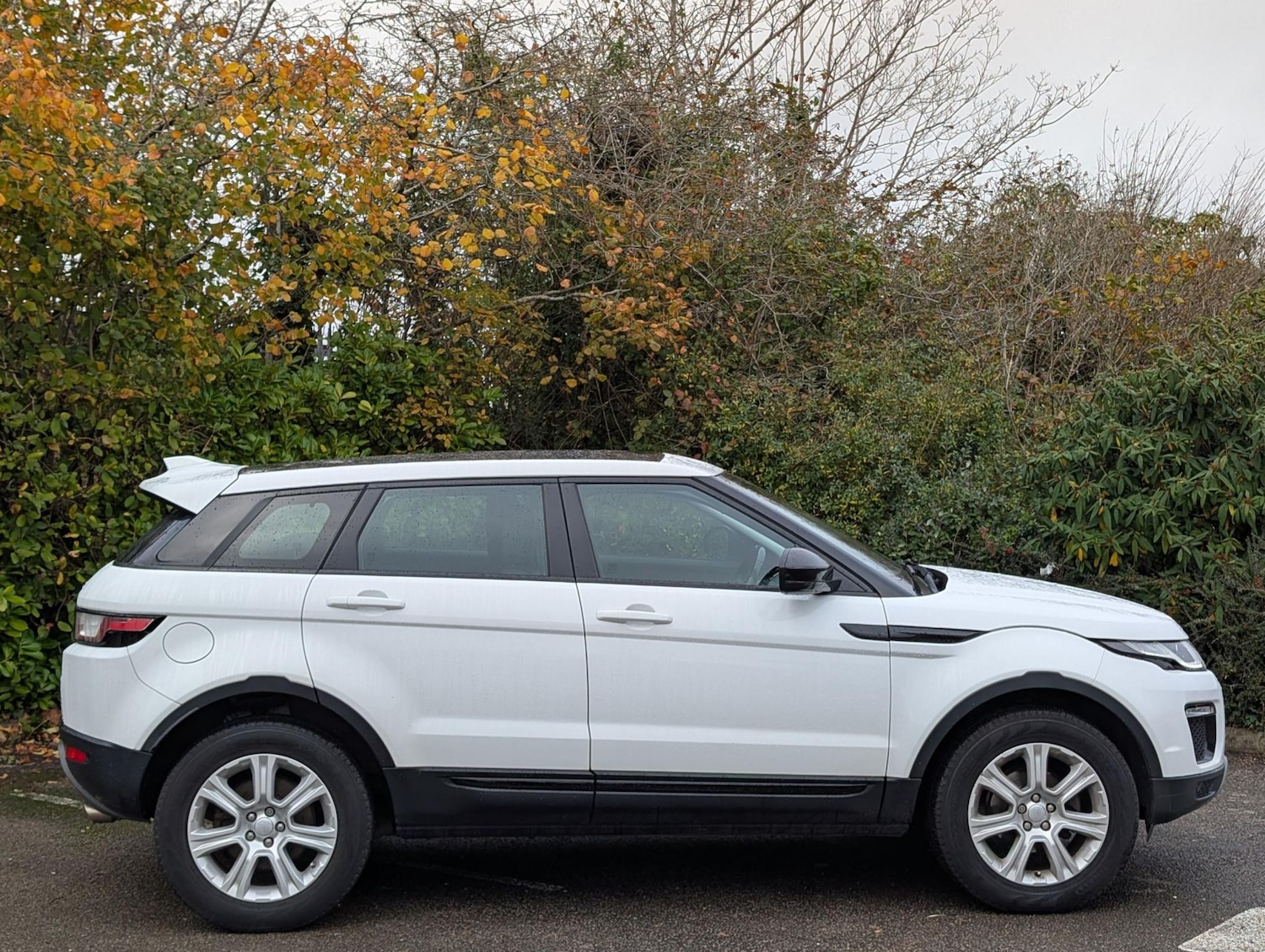 Used Land Rover Range Rover Evoque 2018 for sale - 76519810: Photo 2