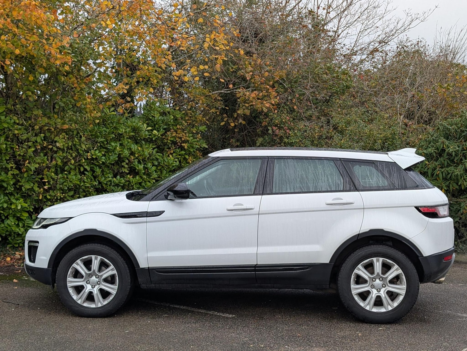 Used Land Rover Range Rover Evoque 2018 for sale - 76519810: Photo 6