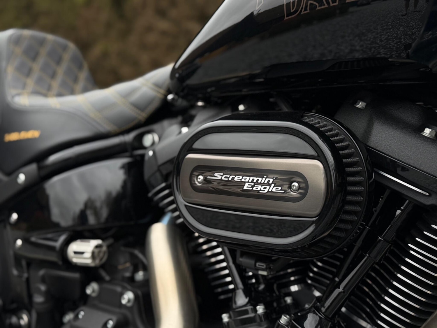 Harley-Davidson SOFTAIL LOW