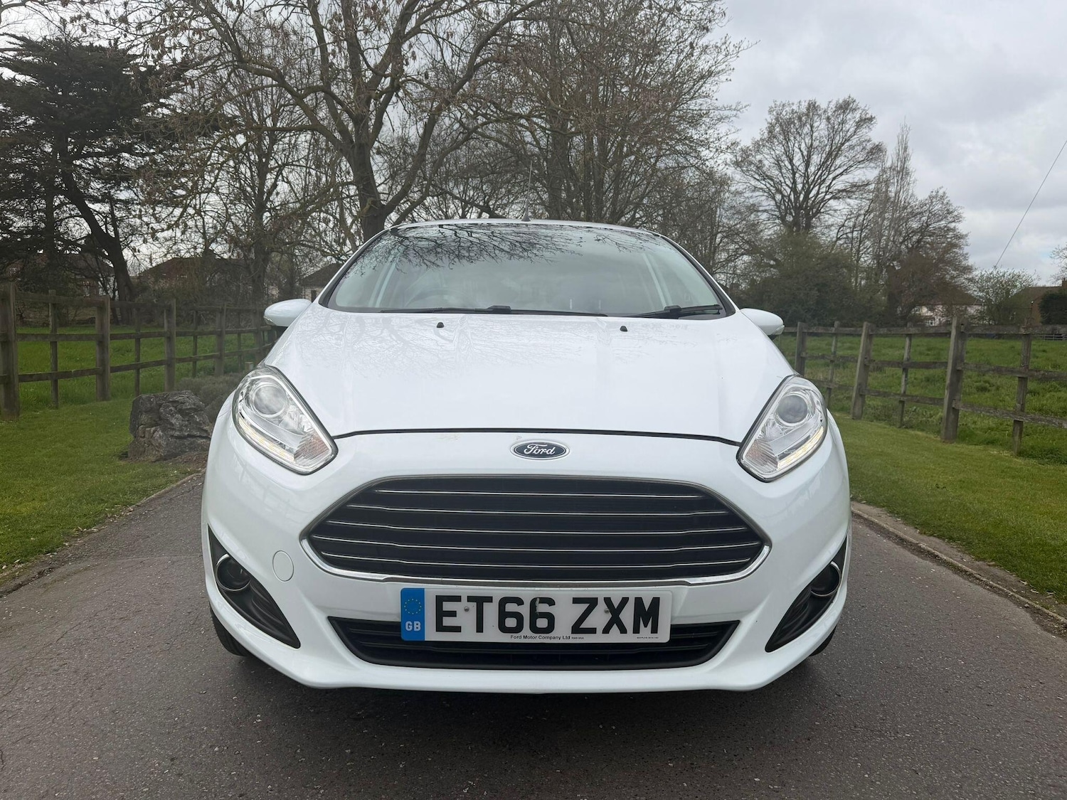 Used Ford Fiesta 2017 for sale - 78072812: Photo 3