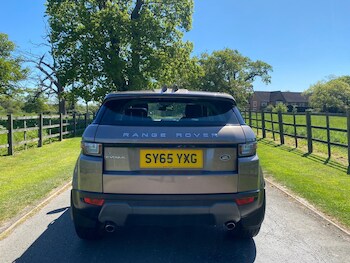 Used Land Rover Range Rover Evoque 2015 for sale - 78416851: Photo